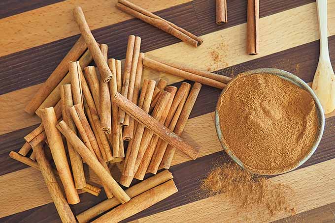 Spice It Up, Baby: When Can Babies Have Cinnamon?
