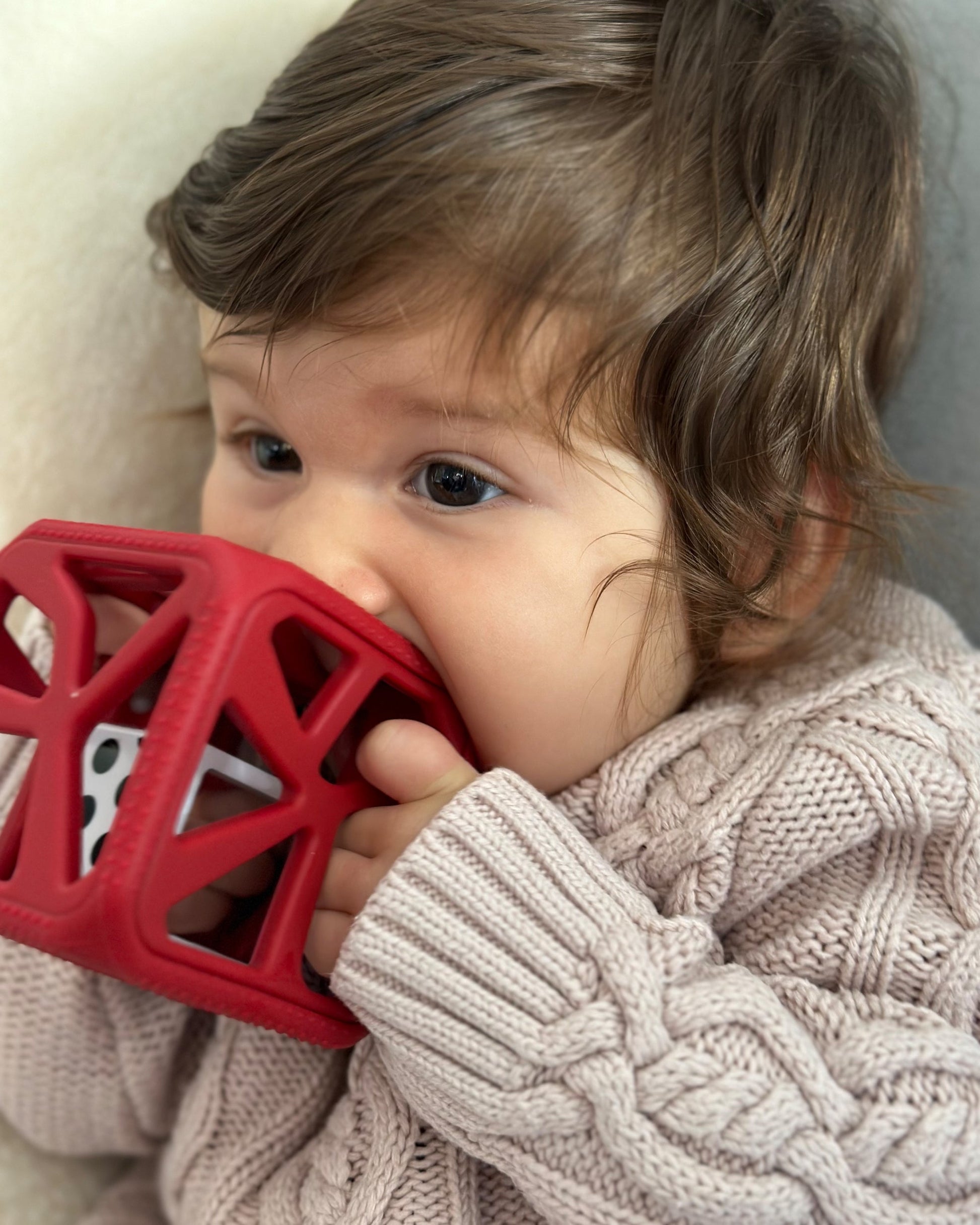 Limited Edition Holiday Gift Pack: Munch Mitt and Chew Cube Duo Chew Cube Malarkey Kids CA 