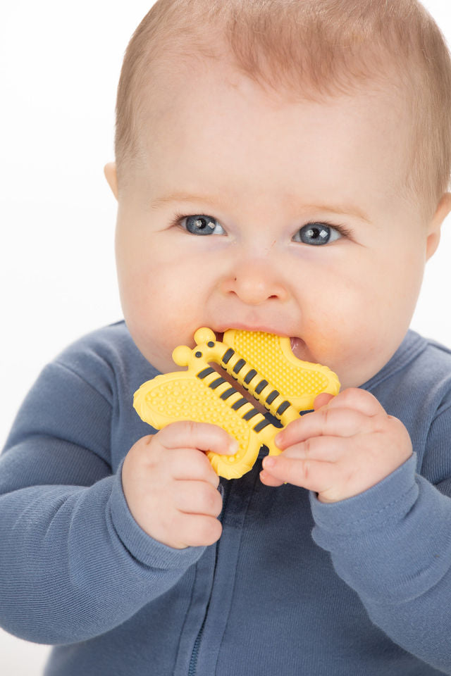 BEE BRUSH - Baby Teether Brush Teether Toothbrush Malarkey Kids CA 